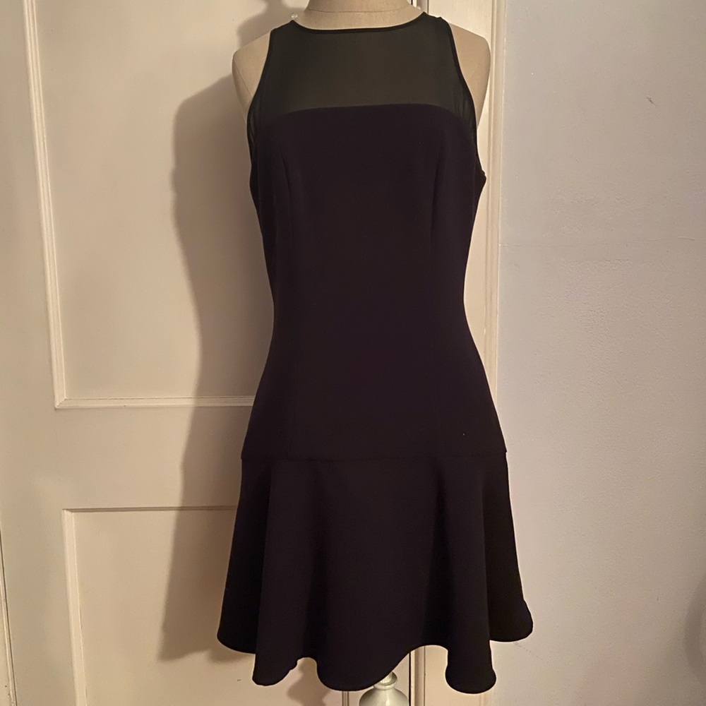 Club Monaco Fit and Flair Dress